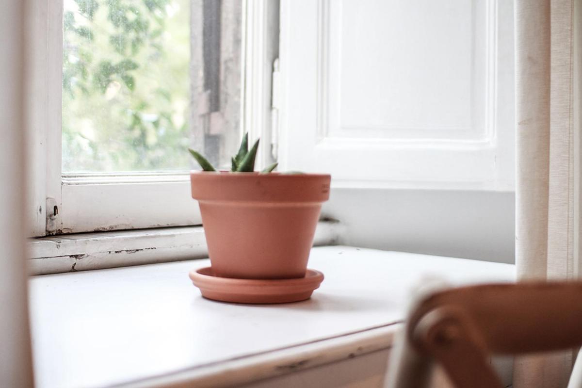 Coliving Trastevere Róma Kültér fotó